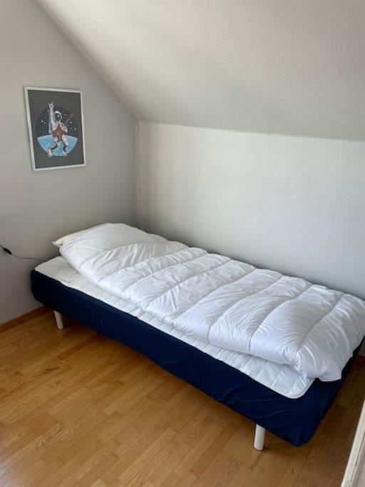 Familjevaenligt Hus Naera Isaberg! Βίλα Hestra Εξωτερικό φωτογραφία